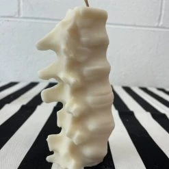 THE BLACKENED TEETH Gothic Homewares Spine [Ivory] | SCENTED CANDLE -Wixcraft Candles shop IMG 5900 5a5c9360 394f 40be b1c5 e24b646f4896 700x700