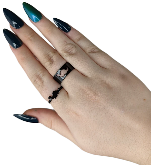 HELLBOUND Dinosaurs Dinosaur | RING SET 13 HELLBOUND Dinosaurs Dinosaur | RING SET - Image 13