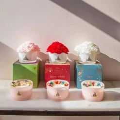 DISNEY X SHORT STORY Disney | Alice In Wonderland CANDLE -Wixcraft Candles shop disney x short story disney alice in wonderland candle 8 d94db734 09bb 494e 9826 0c4a31be5aa9 700x700