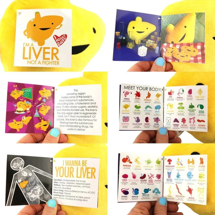 I'm A Liver Not A Fighter | LIVER PLUSH I HEART GUTS! Valentines I'm A Liver Not A Fighter | LIVER PLUSH -Wixcraft Candles shop i heart guts im a liver not a fighter liver plush 6 733d6958 02d4 4a0c a869