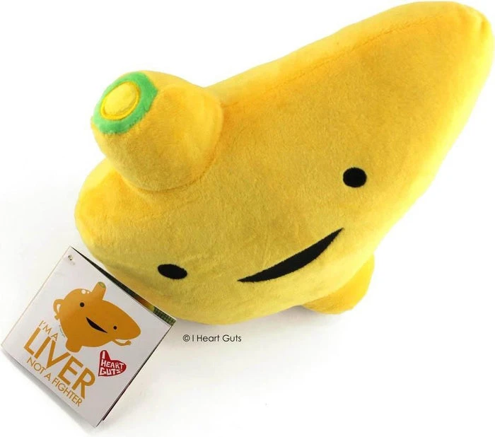 I'm A Liver Not A Fighter | LIVER PLUSH I HEART GUTS! Valentines I'm A Liver Not A Fighter | LIVER PLUSH -Wixcraft Candles shop i heart guts im a liver not a fighter liver plush 9 d122edde 084a 4c32 9b26