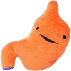 I HEART GUTS! Valentines I Ache For You | SUPER STOMACH PLUSH 11 I HEART GUTS! Valentines I Ache For You | SUPER STOMACH PLUSH -Wixcraft Candles shop i heart guts super stomach plush 1 1312496d 1191 4ecf adb0 a1435e70614d 700x700