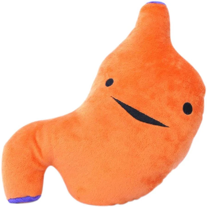 I HEART GUTS! Valentines I Ache For You | SUPER STOMACH PLUSH 3 I HEART GUTS! Valentines I Ache For You | SUPER STOMACH PLUSH - Image 3