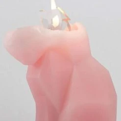 PYROPET Cats Kisa [Pink] | CANDLE -Wixcraft Candles shop pyropet kisa pink candle 03 700x700