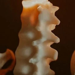 THE BLACKENED TEETH Gothic Homewares Spine [Ivory] | SCENTED CANDLE -Wixcraft Candles shop the blackened teeth spine ivory scented candle 1 ebf53d43 2cf1 4e65 8fa8 730eabd531ea 700x700