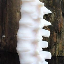 THE BLACKENED TEETH Gothic Homewares Spine [Ivory] | SCENTED CANDLE