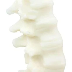 THE BLACKENED TEETH Gothic Homewares Spine [Ivory] | SCENTED CANDLE -Wixcraft Candles shop the blackened teeth spine ivory scented candle 6 f6c5a5e4 bf04 4cf7 aa50 6df4fe9ff10a 700x700