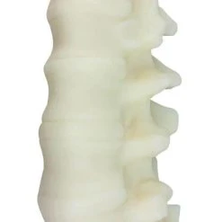 THE BLACKENED TEETH Gothic Homewares Spine [Ivory] | SCENTED CANDLE -Wixcraft Candles shop the blackened teeth spine ivory scented candle 7 37db3b19 5276 45a7 8f80 447f3b9c7861 700x700