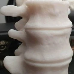 WIXCRAFT CANDLES Gothic Homewares Vertebrae | CANDLE`